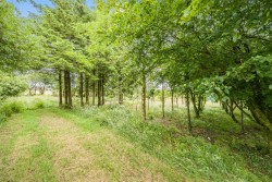 Images for Bursdon, Hartland, Bideford
