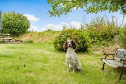 Images for Bursdon, Hartland, Bideford