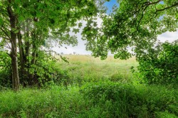 Images for Atterton Lane, Witherley, CV9