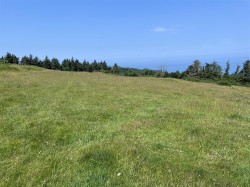 Images for Lee, Ilfracombe