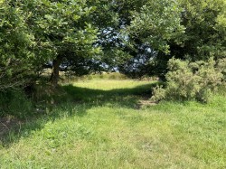 Images for Lee, Ilfracombe