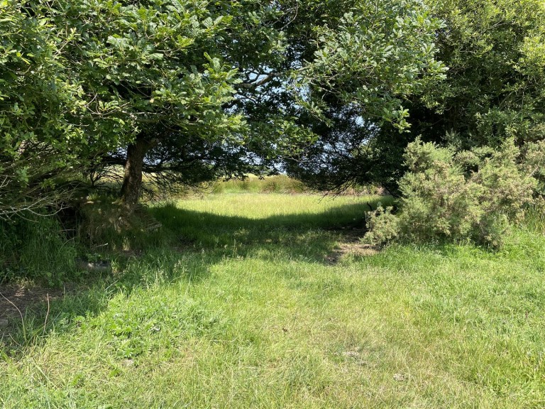 Images for Lee, Ilfracombe