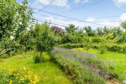 Images for Brightwell Baldwin, Watlington
