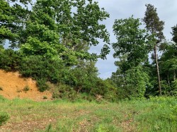 Images for Sidbury, Sidmouth