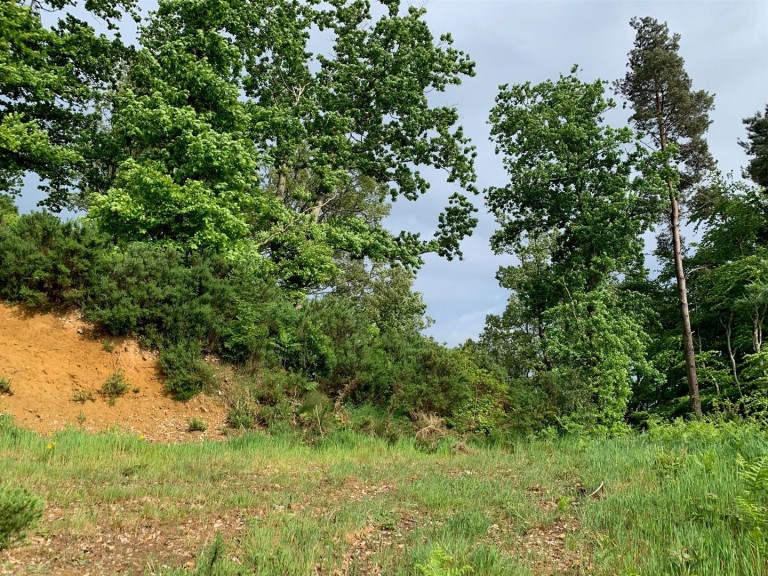 Images for Sidbury, Sidmouth