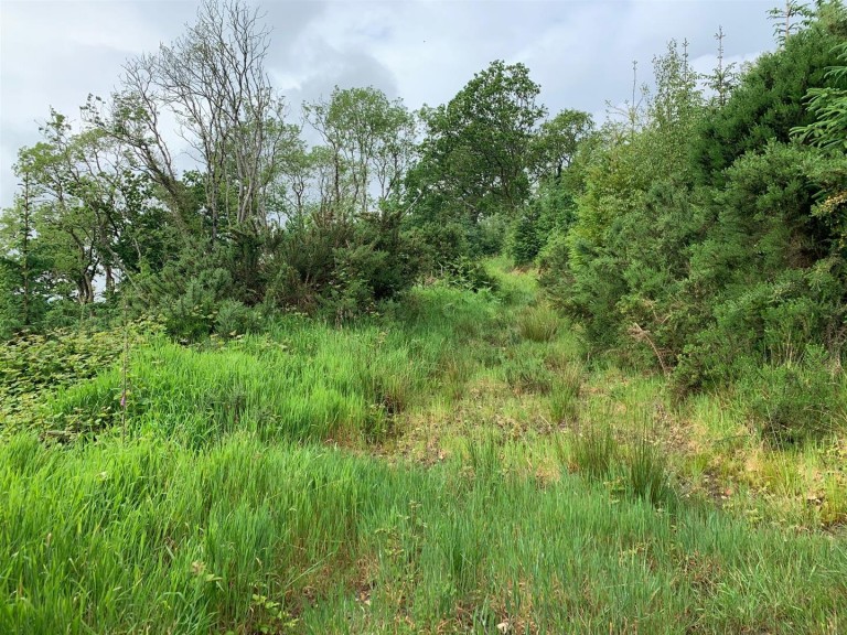 Images for Sidbury, Sidmouth