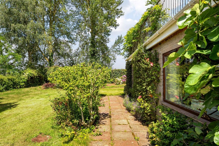 Images for Nynehead, Wellington