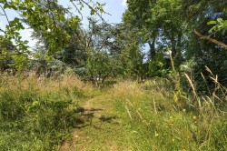 Images for Nynehead, Wellington