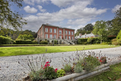 Click the photo for more details of South Brent