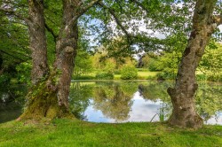Images for Old Sandpits House near Broadwindsor, Beaminster