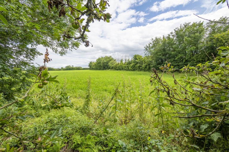 Images for Alpheton, Sudbury, Sudbury