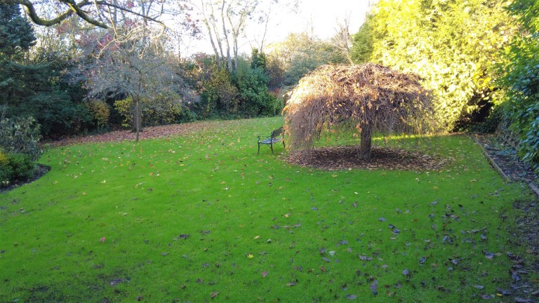 Images for Canaan Way, Ottery St. Mary
