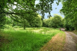 Images for Rackenford, Tiverton