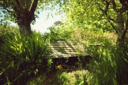 Images for Lower Park Road, Braunton