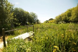 Images for Lower Park Road, Braunton