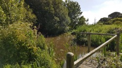 Images for Lower Park Road, Braunton