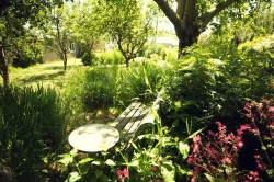 Images for Lower Park Road, Braunton