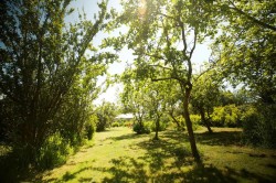 Images for Lower Park Road, Braunton
