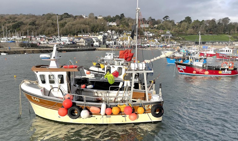 Images for Woodroffe Meadow, Lyme Regis