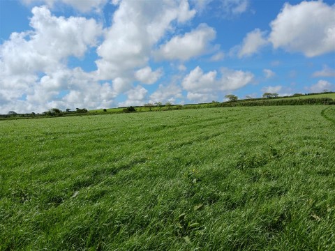 Click the photo for more details of Tresavean, Lanner, Redruth
