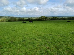 Images for Tresavean, Lanner, Redruth