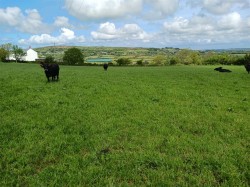 Images for Tresavean, Lanner, Redruth