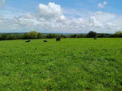 Images for Tresavean, Lanner, Redruth
