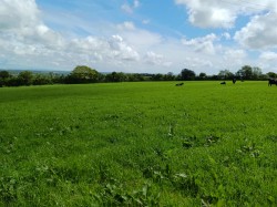 Images for Tresavean, Lanner, Redruth