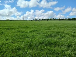 Images for Tresavean, Lanner, Redruth