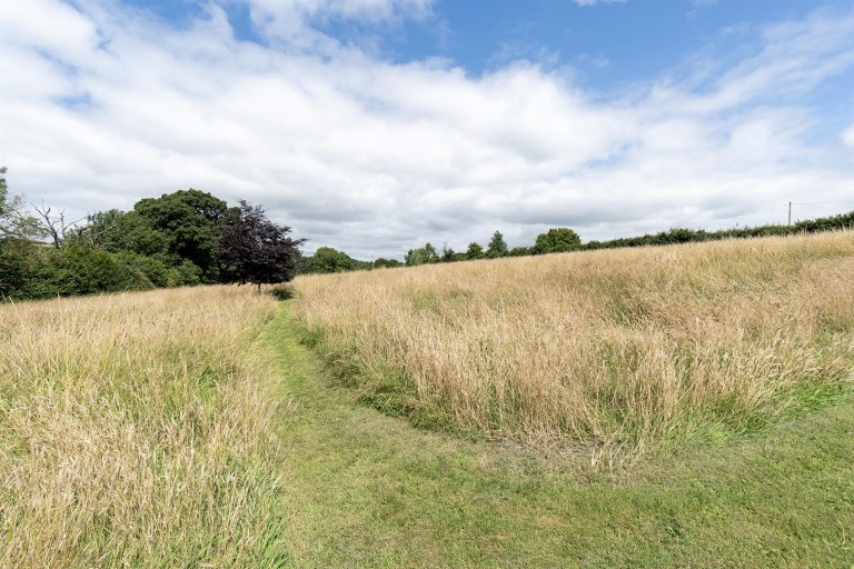 Images for Chardstock, Axminster