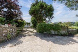 Images for Chardstock, Axminster