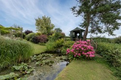 Images for Chardstock, Axminster