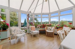 Images for Chardstock, Axminster