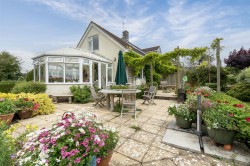 Images for Chardstock, Axminster