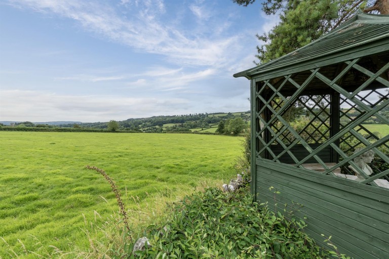 Images for Chardstock, Axminster
