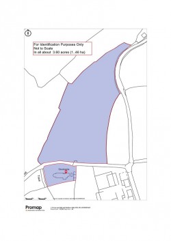 Images for Chardstock, Axminster