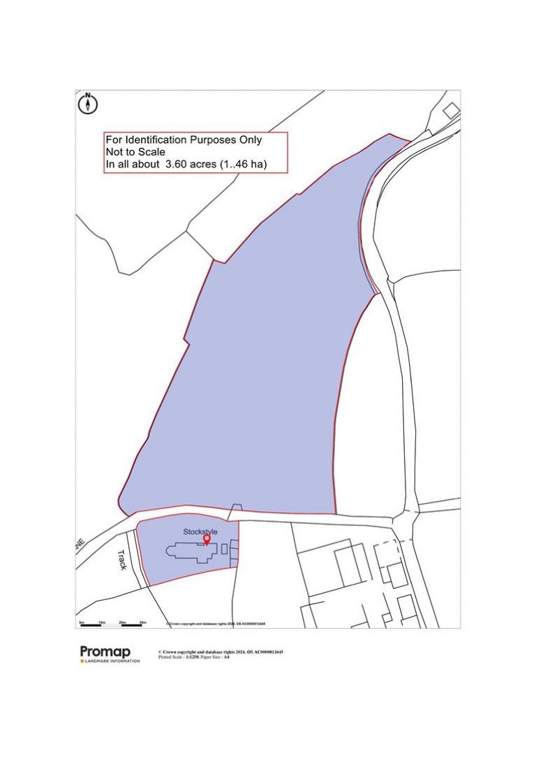 Images for Chardstock, Axminster