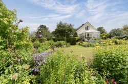 Images for Chardstock, Axminster