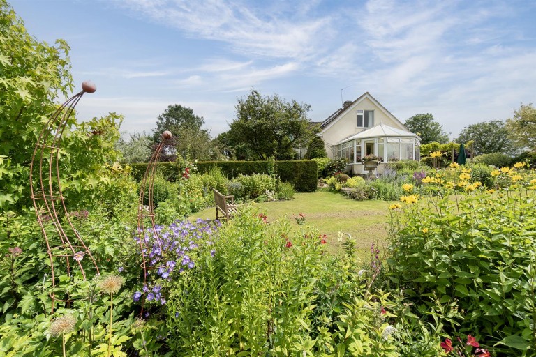 Images for Chardstock, Axminster