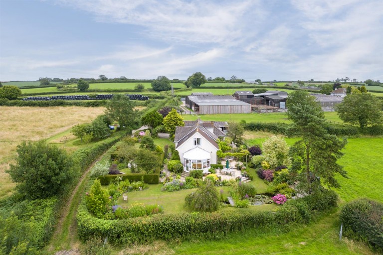 Images for Chardstock, Axminster