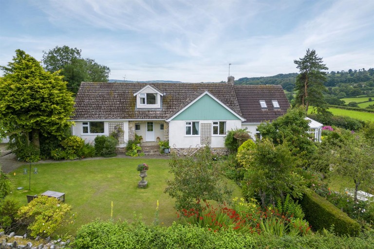 Images for Chardstock, Axminster