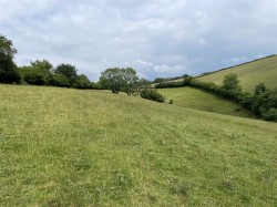 Images for Molland Cross, South Molton