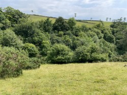 Images for Molland Cross, South Molton