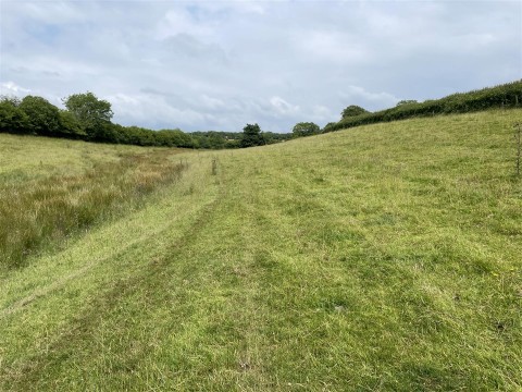Click the photo for more details of Molland Cross, South Molton