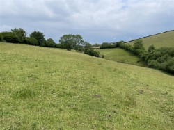 Images for Molland Cross, South Molton