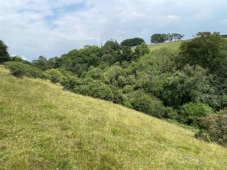 Images for Molland Cross, South Molton
