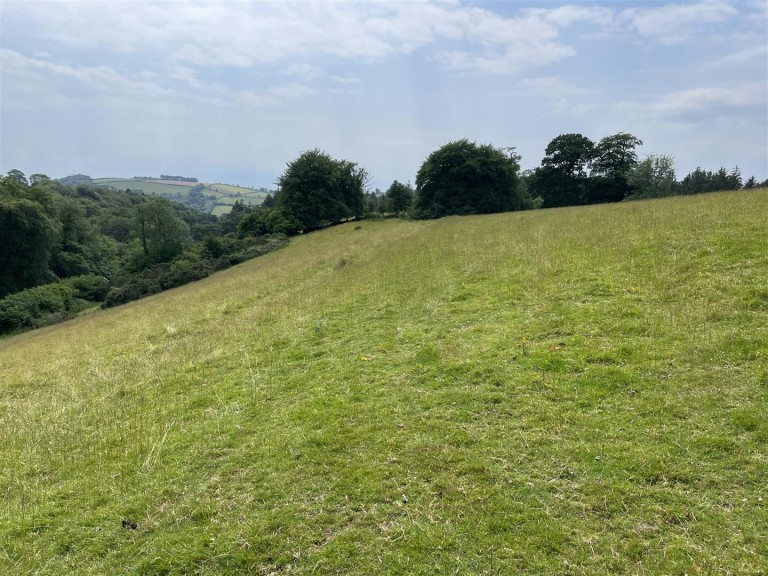 Images for Molland Cross, South Molton