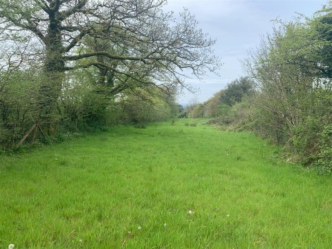 Click the photo for more details of Bridestowe