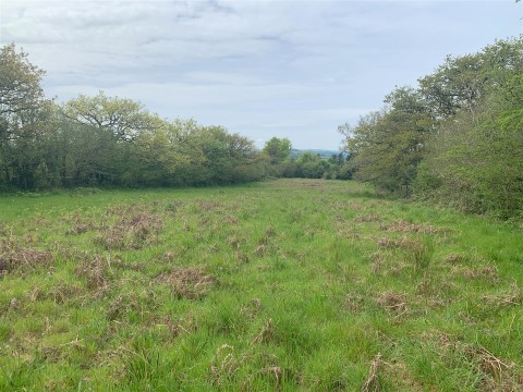 Click the photo for more details of Bridestowe