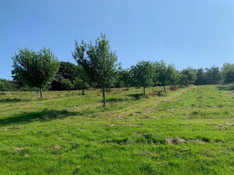 Click the photo for more details of Harbourneford, South Brent